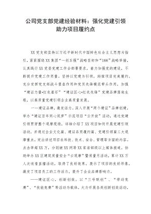 公司党支部党建经验材料：强化党建引领 助力项目履约点.docx