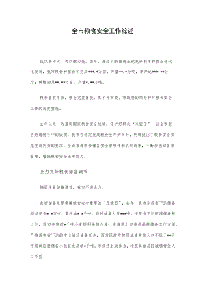 全市粮食安全工作综述.docx