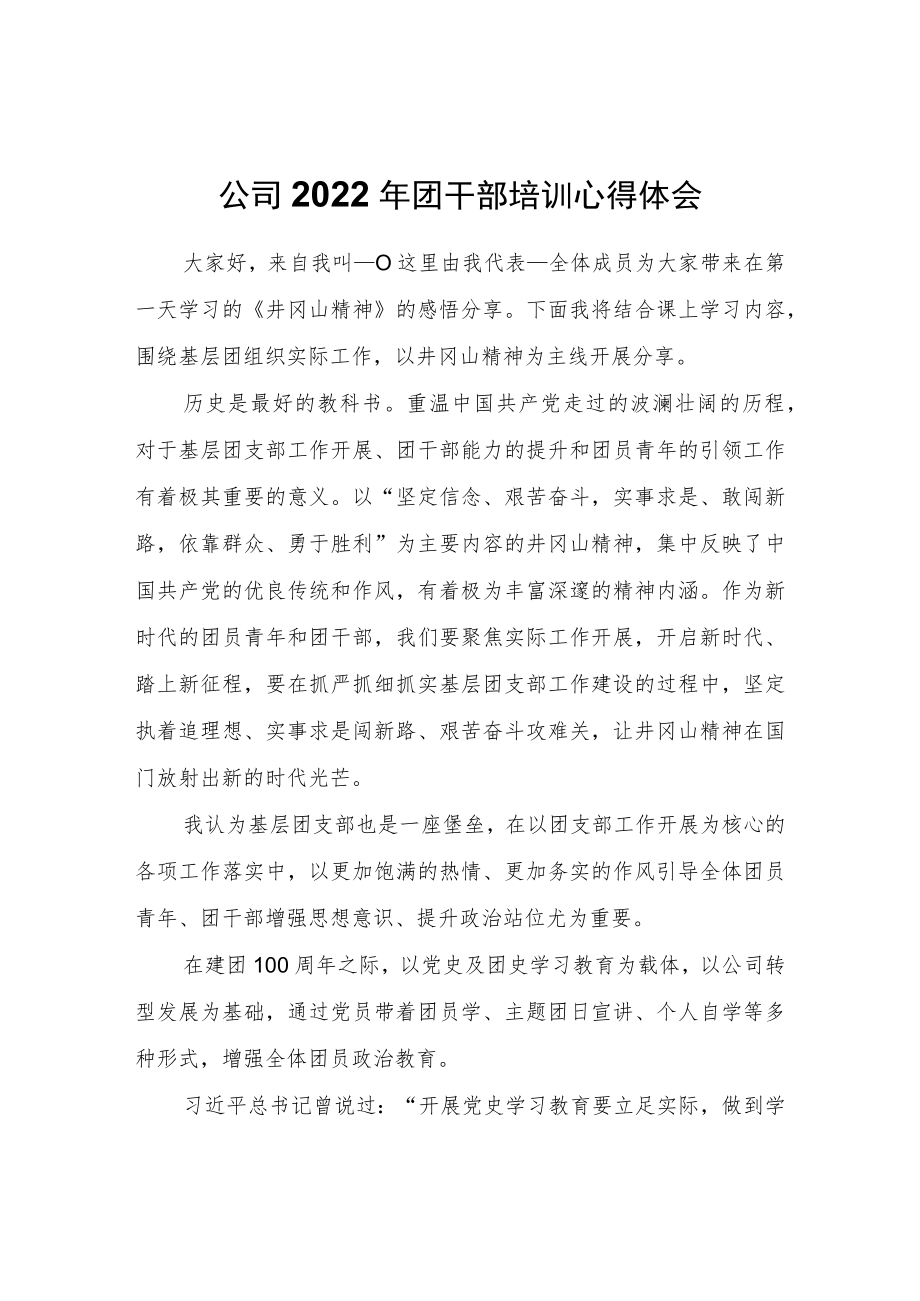 公司2022团干部培训心得体会.docx_第1页