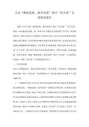 全县“解放思想、振兴发展”研讨“回头看”自查情况报告.docx