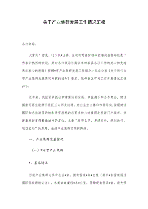 关于产业集群发展工作情况汇报.docx
