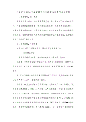 公司党支部2022党建工作专项整治自查报告供借鉴.docx