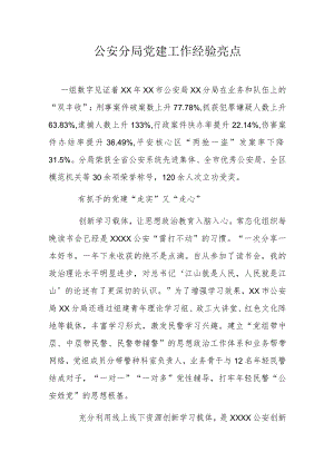 公安分局党建工作经验亮点.docx