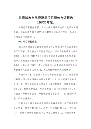 共青城市自然资源局项目绩效自评报告.docx