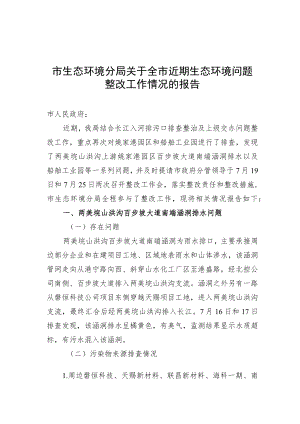 关于全市近期生态环境问题整改工作情况的报告2022.7.27.docx