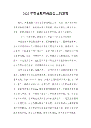 2022在县政府务虚会上的发言.docx
