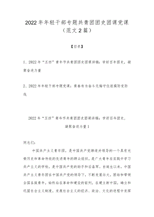 2022轻干部专题共青团团史团课党课（范文2篇）.docx