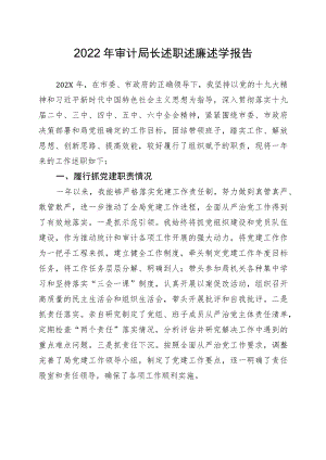 2022审计局长述职述廉述学报告(1).docx