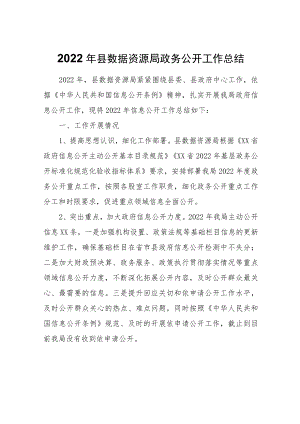 县数据资源局政务公开工作总结.docx