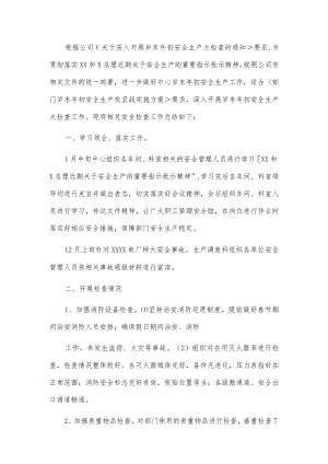 xx公司岁末年初安全生产大检查大督查工作总结2篇.docx