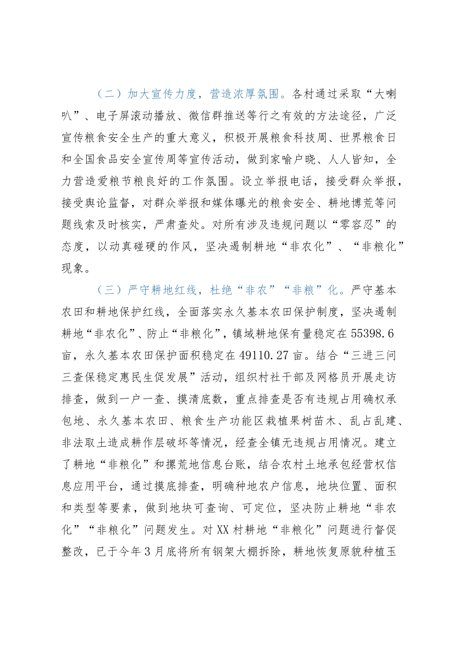 XX镇落实粮食安全责任制情况工作总结.docx_第2页