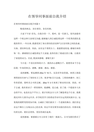 在领导同事面前自我介绍.docx