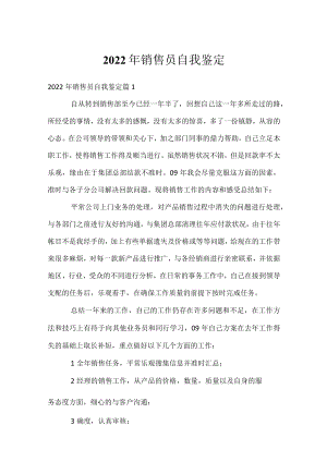 2022年销售员自我鉴定.docx