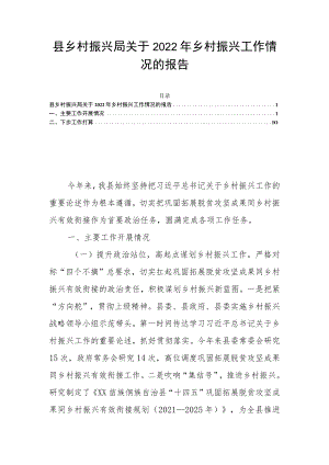 县乡村振兴局关于2022年乡村振兴工作情况的报告.docx