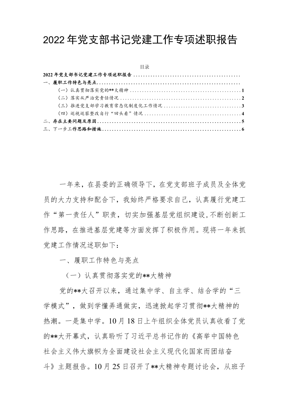 2022年党支部书记党建工作专项述职报告.docx_第1页