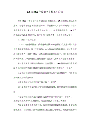 XX局2022年度数字乡村工作总结.docx