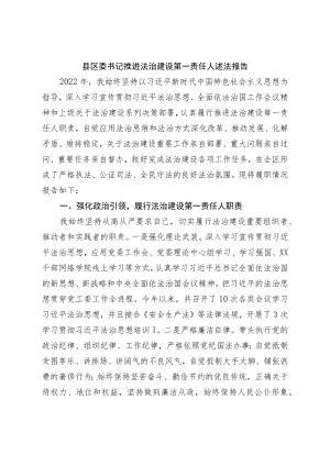 县区委书记推进法治建设第一责任人述法报告.docx