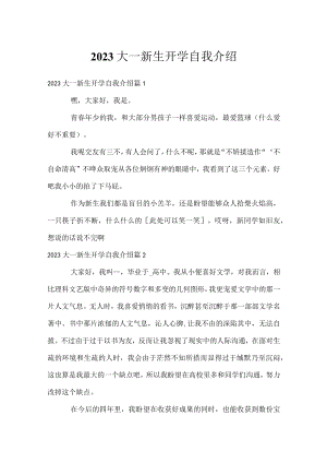 2023大一新生开学自我介绍.docx