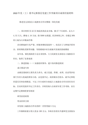 2022年党（工）委书记抓基层党建工作突破项目成效经验材料1.docx