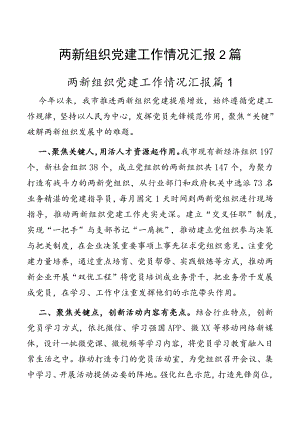 两新组织党建工作情况汇报2篇.docx