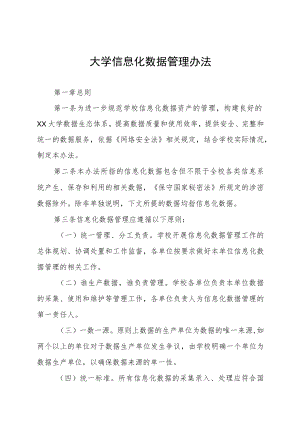 大学信息化数据管理办法.docx