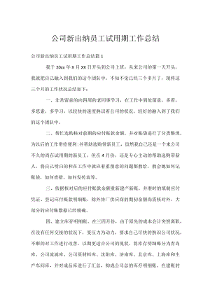 公司新出纳员工试用期工作总结.docx