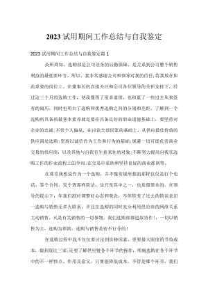 2023试用期间工作总结与自我鉴定.docx