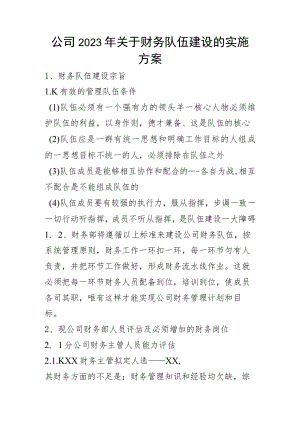 公司2023年关于财务队伍建设的实施方案.docx