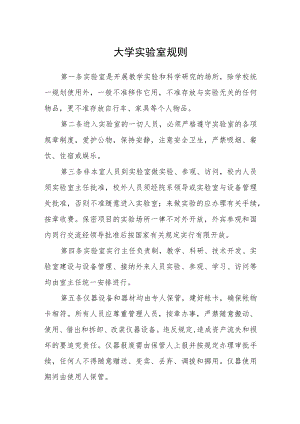 大学实验室规则.docx