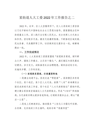 某街道人大工委2022年工作报告之二.docx