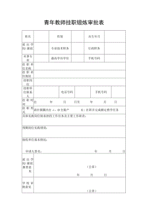 青年教师挂职锻炼审批表.docx