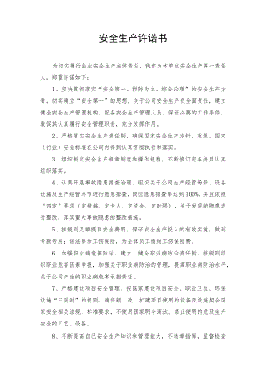 安全责任人生产承诺书.docx