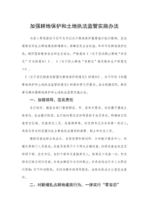 加强耕地保护和土地执法监管实施办法.docx