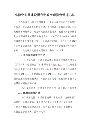 小微企业园建设提升财政专项资金管理办法.docx