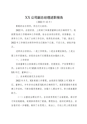 XX公司副总经理述职报告.docx
