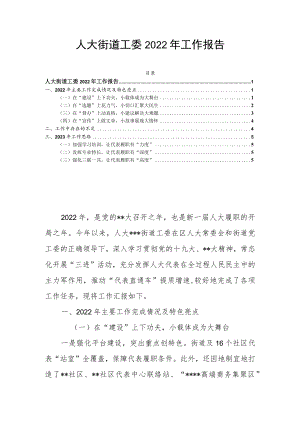 人大街道工委2022年工作报告.docx