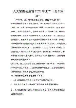 人大常委会监督2023年工作计划2篇.docx
