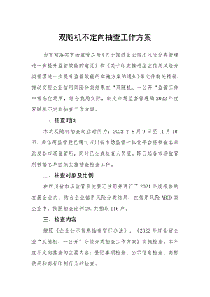 双随机不定向抽查工作方案.docx