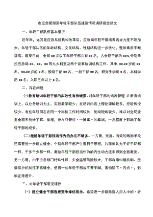 市应急管理局年轻干部队伍建设情况调研报告范文.docx