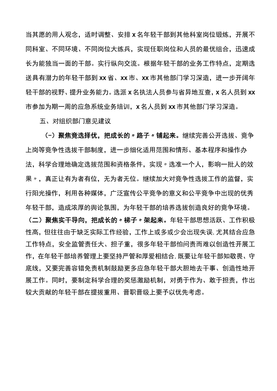 市应急管理局年轻干部队伍建设情况调研报告范文.docx_第3页