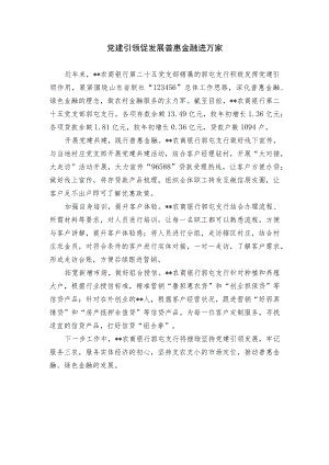 【经验总结】党建引领促发展 普惠金融进万家.docx