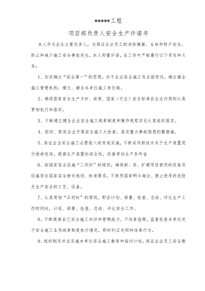 施工工程安全生产承诺书.docx