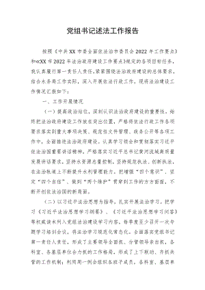 党组书记述法工作报告.docx
