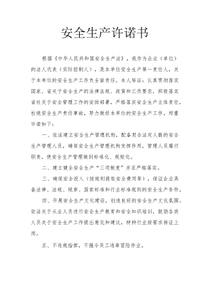 企业法人安全生产承诺书.docx