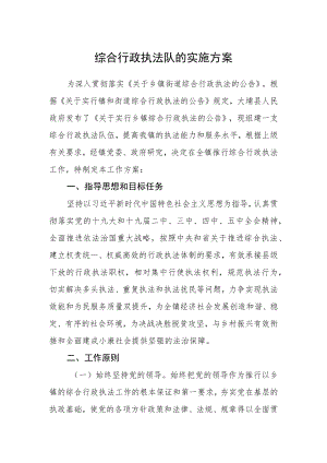 综合行政执法队的实施方案.docx