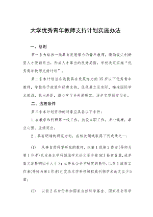 大学优秀青年教师支持计划实施办法.docx