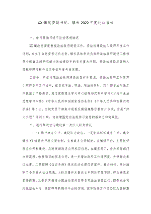 XX镇党委副书记、镇长2022年度述法报告1.docx