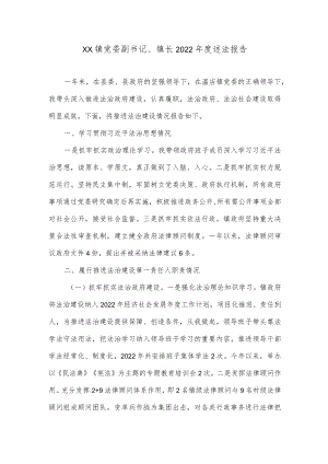 XX镇党委副书记、镇长2022年度述法报告.docx
