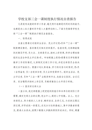 学校支部三会一课制度执行情况自查报告.docx