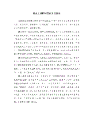 健全三项机制 压实党建责任.docx